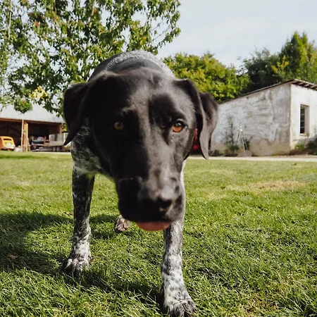 Appartement Kohnshof